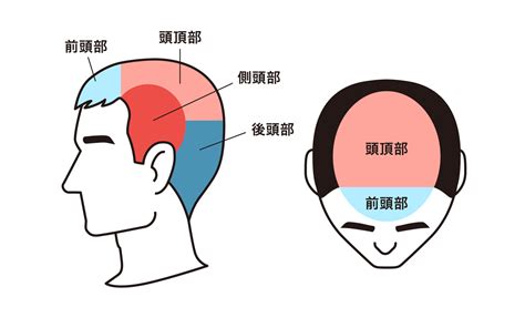 頭左側有痣